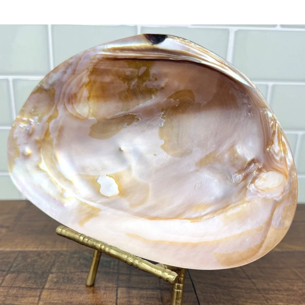 Mother of Pearl Shell Catchall Dish | Coastal Shell Craft Trinket Tray Feet